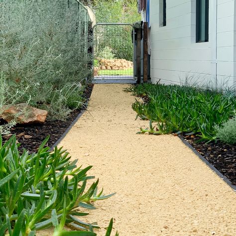 Pigface, native rosemary, lomandra seascapes, limestone path, crushed stone, coastal Crushed Limestone Walkway, Crushed Limestone Landscaping, Crushed Stone Landscaping, Native Rosemary, Pebble Driveway, Limestone Gravel, Landscaping Entrance, Shaw House, Crushed Limestone