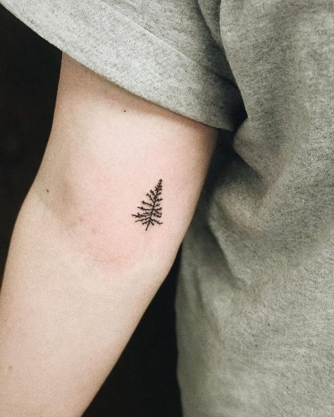 Tiny Tree Inner Arm Tattoo Tiny Tree Tattoo, Tree Tattoo Ankle, Evergreen Tree Tattoo, Simple Tree Tattoo, Tree Tattoo Meaning, Pine Tattoo, Ethnic Tattoo, Tree Tattoo Arm, Wood Tattoo