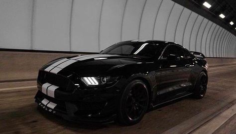 Rolling  #mustang #ford #gt #americanmuscle #shelby #mustanglife #stance #mustanggt https://buff.ly/2HAE1tA Black Mustang Gt, Mustang Gt350, Rally Stripes, Car Stripes, Black Mustang, Mustang Car, Stanced Cars, Shelby Gt350, Street Racing Cars