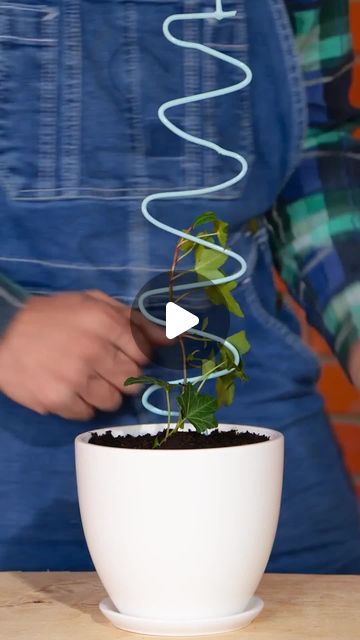 5-Minute Crafts on Instagram: "Tips and tricks for outdoor and indoor plants!  #indoorgarden #planthacks #gardening101" 2024 Tips, Rooting Plants, Propagating Roses, Gardening Tips And Tricks, Instagram Tips And Tricks, Planting Tips, Household Plants, Garden Hacks, Plant Hacks