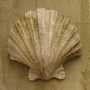 Nautilus House, Scallop Seashell, Gold Wall Decor, Porch Wall, Nautical Wall Decor, Outdoor Living Decor, 3d Wall Decor, Antique Stone, Nautical Home