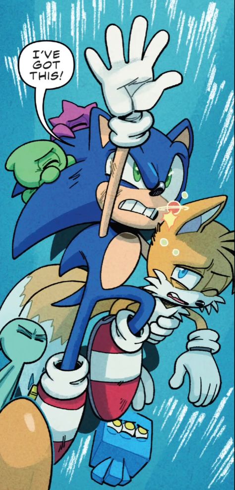 Idw Sonic Comic, Sonic The Hedgehog Idw, Sonic Idw, Sonic And Tails, Sonic Tails, Sonic & Knuckles, Emoji Drawings, Sonic Funny, Sonic Fan Characters