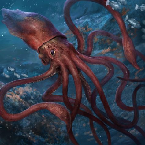 Giant Squid by Herckeim on DeviantArt Giant Squid Aesthetic, Giant Squid Art, Squid Aesthetic, Humboldt Squid, Squid Drawing, Colossal Squid, Greek Monsters, Playing In The Sand, Giant Squid