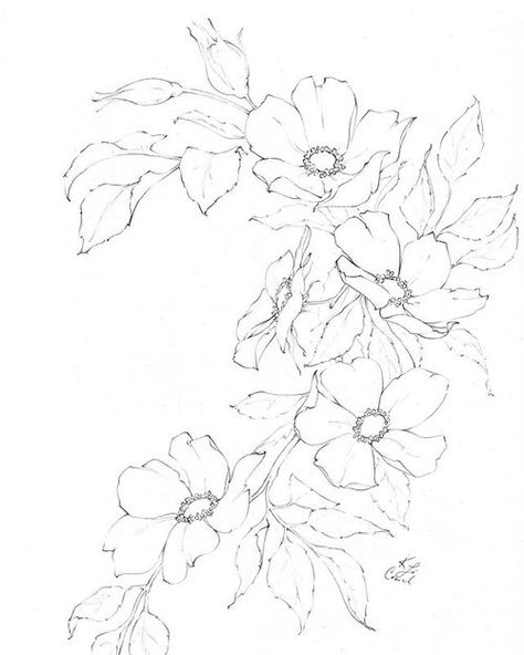 Design Flower Drawing, Hur Man Ritar Blommor, Flower Line Drawings, Drawing Course, Flower Drawings, Flower Sketches, Floral Drawing, Design Flower, Botanical Drawings