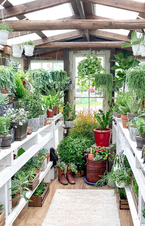 Succulent greenhouse Greenhouse Succulents, Green House Set Up, Greenhouse Planting, Greenhouse Styling, Greenhouse Colors Exterior, Greenhouse Patio, Succulent Greenhouse, Greenhouse Organization, Greenhouse Lighting