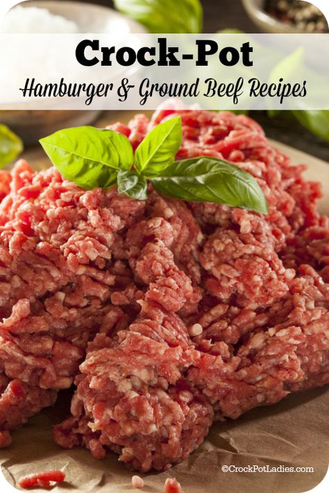 Crock-Pot Hamburger and Ground Beef Recipes Hamburger In Crockpot, Crockpot Meatloaf Recipes, Slow Cooker Casserole, Ground Beef Recipe, Crock Pot Food, Crockpot Dishes, Crockpot Beef, Beef Recipe, Crock Pot Slow Cooker