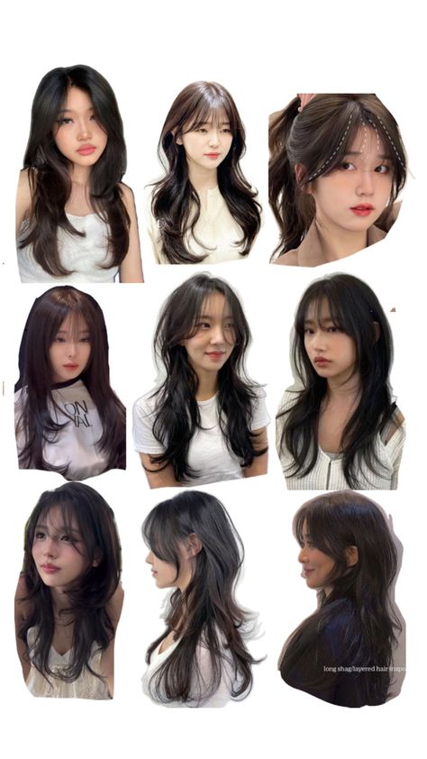 Haircut wispy hush cut layers brunette Haircuts For Round Long Faces, 1 Layer Haircut, Fox Hairstyle Women, Different Types Of Hair Layers, Wolf Cut With Face Framing Layers, Elegant Layered Hair, Haircuts With Light Bangs, Butterfly Haircut Wispy Bangs, Layered Cut With Wispy Bangs