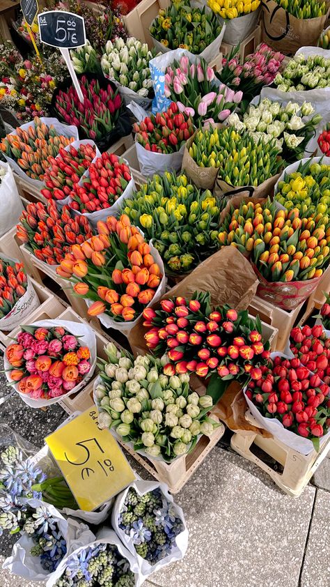 London Flower Market, Flowers London, London Aesthetic, Nothing But Flowers, Flower Market, Tulips, London, Flowers, Floral