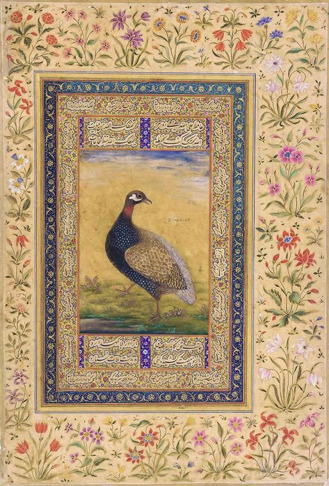 Black Francolin. Mughal. Muhammad, 19th Century. Freer Galleries. Mughal Paintings Flowers, Mughal Miniature Paintings, Persian Painting, Mughal Art Paintings, Persian Art Painting, Persian Miniature, Mughal Paintings, Esoteric Art, Alfred Stieglitz