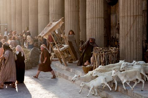 Cleansing The Temple, Jesus Cleanses The Temple, Animal Sacrifice, Bible Videos, Life Of Jesus Christ, The Life Of Jesus, Book Of Matthew, Bible Video, Heavenly Places