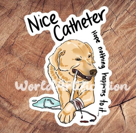 Vet Med Stickers, Vet Stickers, Med Stickers, Veterinary Humor, Vet Tech Humor, Vet Tech School, Vet Tech Student, Vet Life, Vet Technician