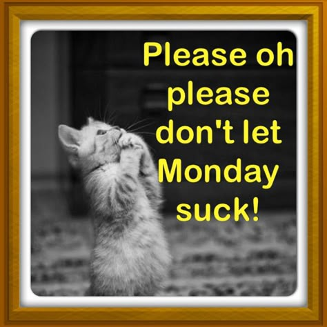 Sunday night prayer Sunday Night Prayer, Monday Sayings, Funny Qotes, A Box Of Sunshine, Funny Garden Signs, Work Engagement, Monday Sucks, Monday Humor Quotes, Monday Morning Quotes