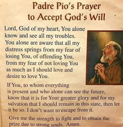 ~St. Padre Pio's Prayer to Accept God's Will... Padre Pio Quotes, Padre Pio Prayer, Catholic Prayers Daily, St Padre Pio, Novena Prayers, Saint Quotes Catholic, Spiritual Prayers, Beautiful Prayers, Saint Quotes