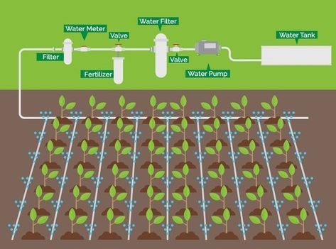 Drip Irrigation System Design, Irrigation System Design, Irrigation Diy, Drip Irrigation Diy, Raised Garden Beds Diy Vegetables, Garden Watering System, Water Irrigation, Vegetable Garden Diy, Drip Irrigation System