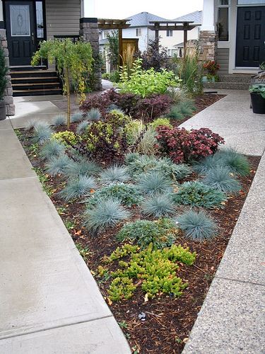 Great combination of Sedum Angelina and Blue Fescue Small Front Yard Landscaping Ideas, Small Yard Landscaping, Succulent Landscape Design, Small Front Yard Landscaping, Succulent Landscaping, Small Front Yard, Front Yard Design, Modern Landscape Design, Front Landscaping