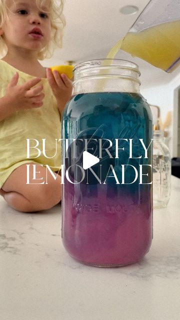 8,688 likes, 202 comments - essentiallyerin__ on July 28, 2022: "BUTTERFLY LEMONADE 🦋 Skips the dyes and fake sugars and add this one to your summer to-do. Delicious and refreshing + the color-changing magic at the end is fun for the whole family. WHAT YOU NEED: Butterfly Pea Flowers Juice from 8 fresh lemons 1/2 cup sugar Boiling water 1/2 gallon mason jar or similar sizes glass pitchers/jars Juice 8 lemons and set aside. Add 1/2 cup sugar to glass container and dissolve in hot water (I Butterfly Lemonade, Butterfly Pea Flowers, Gallon Mason Jars, Punch Drinks, Butterfly Pea Flower, Butterfly Pea, Glass Pitchers, Boiling Water, Natural Living