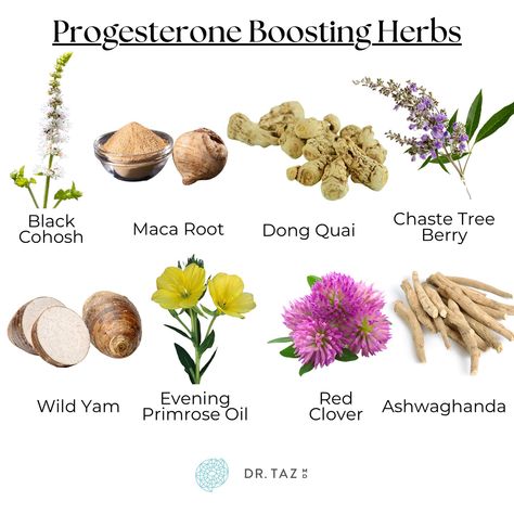 Herbs For Estrogen, Hormone Balance Herbs, Estrogen Boosting Herbs, Ways To Increase Progesterone, How To Raise Progesterone Levels, How To Boost Progesterone Naturally, Pre Menopausal Herbs, Progesterone Boosting Foods, Progesterone Cream Benefits