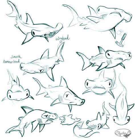 Cutie Sharks : ⚓By Diver969⚓ Hammerhead Shark Drawing Cute, Hammerhead Drawing, Shark Drawing Sketches, Sea Animal Drawings, Sea Animals Drawing, Types Of Sharks, Shark Drawing, Shark Art, Cute Shark