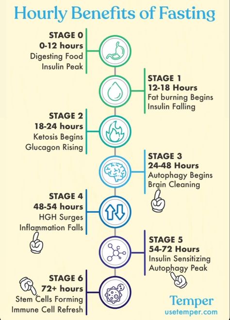 Diet For Heart Health, Foods For Heart Health, Homemade Fruit Leather, Fasting Diet Plan, Lemon Diet, Baking Soda Beauty Uses, Low Carb Diet Recipes, Heart Health, Stem Cells