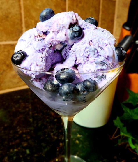 Coconut Milk Ice Cream Recipe, Recipes Using Coconut Milk, Blueberry Ice Cream Recipe, Whipped Coconut Milk, Blueberry Pudding, Non Dairy Ice Cream, Coconut Ice Cream Recipes, Blackberry Ice Cream, Paleo Ice Cream