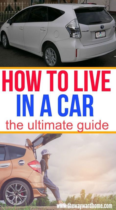 Live In Your Car, Budget Camping, Living In Car, Stealth Camping, Camping Desserts, Photography Outfits, Suv Camping, Van Life Diy, Camping Guide