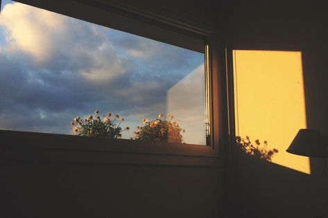 Funny Wallpaper, Window View, Night Aesthetic, Nature Girl, Film Aesthetic, Wallpaper Pc, Aesthetic Photography, The Window, Pretty Pictures