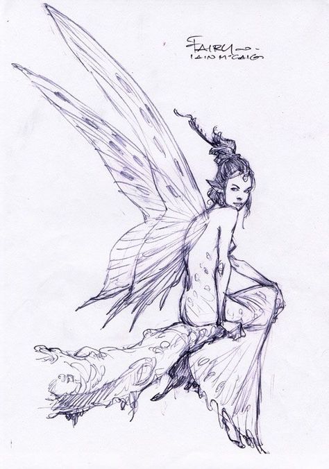 Iain Mccaig, Fairy Sketch, Fairy Drawings, Sketch Books, Fairy Tattoo, Arte Sketchbook, 판타지 아트, The Fairy, Fairy Art