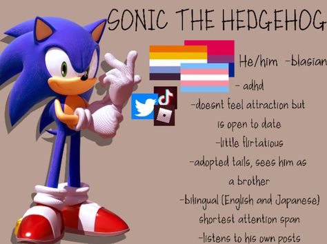 Sonic Headcanons, Sonic The Hedgehog Incorrect Quotes, Sonic Whisper, Sonic Videos, Sonic Fandub Art, Sonic Shadow Memes Funny, Short Attention Span, Sonic Memes Funny, Speed Of Sound