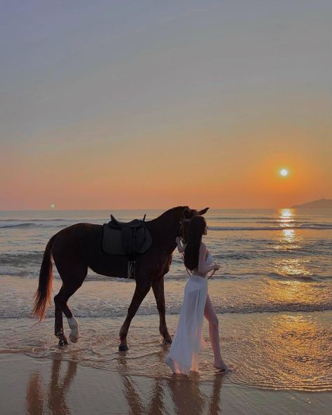 Horse Photography Poses, Horsey Life, Pinterest Summer, Animals Horse, Debut Photoshoot, Cute Disney Pictures, Summer Nature, Sky Sunset, Ocean Water