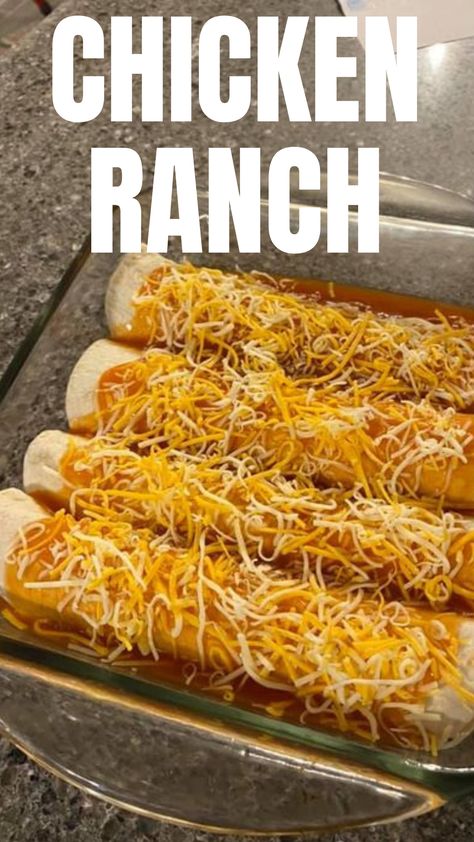 Easy and cheap recipe I made last night, if you love ranch this is for you! Chicken Ranch Enchiladas. Ranch Recipe, Ranch Chicken, Cheap Meals, Budget Meals, Main Dishes, Chicken Recipes, Chicken