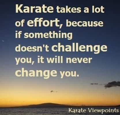 Funny Facts Mind Blowing, Shotokan Karate, Better Version, Warrior Quotes, Self Discipline, Fitness Motivation Quotes, Tai Chi, Powerful Words, Taekwondo