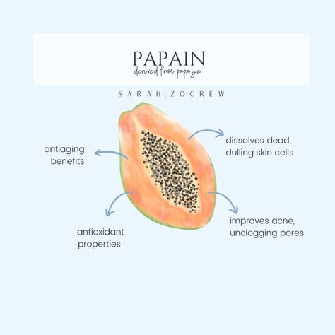 Facial Skin Care Routine, You Know It, Dull Skin, Mixology, Facial Skin Care, Facial Skin, Care Routine, Papaya, Skin Cells