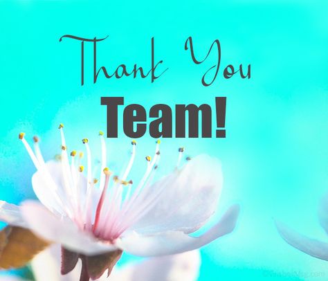 125 Thank You and Congratulations Messages for Team Thank You Team Quotes, Thank You Team Quotes Teamwork, Thank You Team, Cooperation Quotes, Good Job Quotes, Team Quotes Teamwork, Good Morning Team, Good Job Team, Pnc Bank