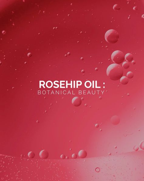 Enrich your hair care ritual with the exquisite essence of Rosehip Oil, a botanical wonder that transcends the ordinary.✨⁠ ⁠ Boost your hair's radiance with the natural shine of Rosehip Oil. Watch your locks catch the light, revealing an ethereal, luminous sheen that speaks of health and vitality.⁠ ⁠ Explore now our collection of products where you'll find the benefits of rosehip oil and let your hair soak in the greatness.⁠ ⁠ www.beasbayouskincare.com⁠ ⁠ #beasbayouskincare #beasbayou #itchys... Benefits Of Rosehip Oil, Rosehip Oil Benefits, Health And Vitality, Botanical Beauty, Rosehip Oil, Skincare Products, The Ordinary, Ritual, Essence