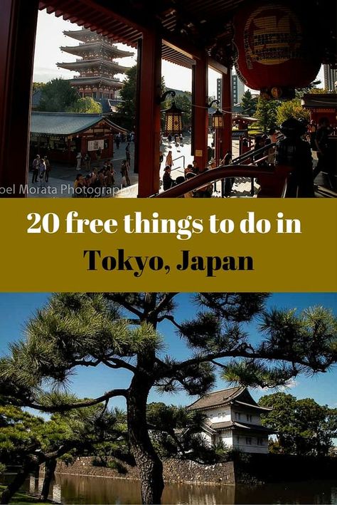 Asian Scenery, Vacation Japan, Tokyo Trip, Things To Do In Tokyo, Japan Travel Destinations, Japan Holidays, Honeymoon Places, Japan Vacation, Japan Travel Tips