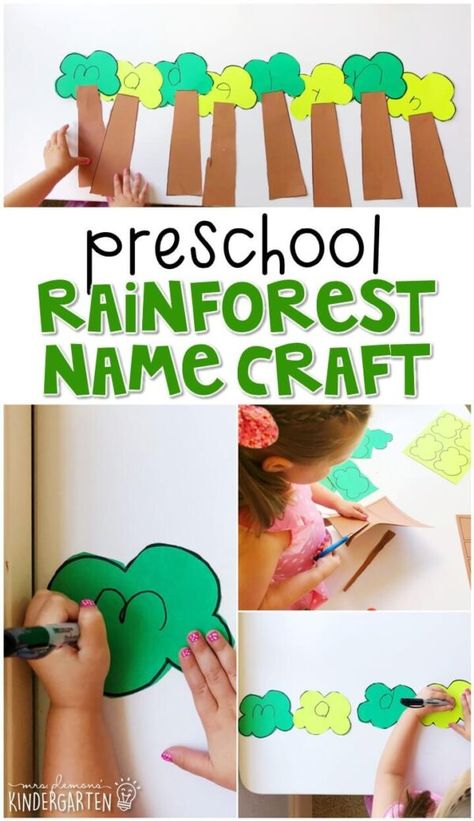 Rain Forest Crafts, Preschool Rainforest Theme, Forest Crafts For Kids, Rainforest Worksheets, Preschool Rainforest, Animal Habitats Preschool, Rainforest Preschool, Rainforest Classroom, Rainforest Crafts