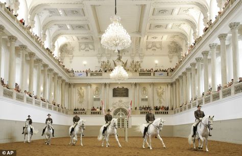 Spanish Riding School Vienna, Iberian Horse, Lippizaner, Horse Riding School, Spanish Riding School, School Performance, Trick Riding, Riding School, Horse Stable