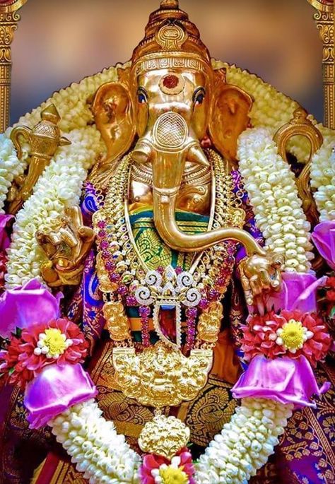 Jai Ganesh, Sri Ganesh, Ganesha Elephant, Ganesh Lord, Shri Ganesh Images, Happy Ganesh Chaturthi Images, Baby Ganesha, Lord Murugan Wallpapers, Ganesh Chaturthi Images