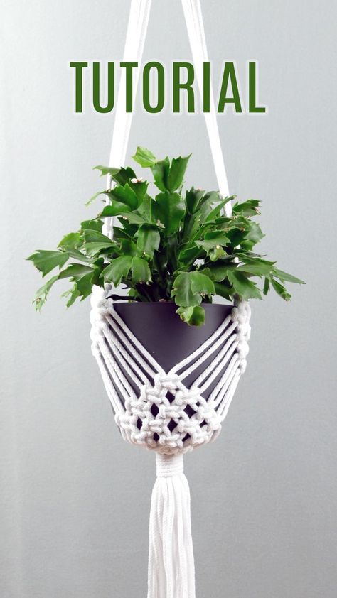 Plant Hanger DIY | Macrame plant, Diy macrame plant hanger, Diy macrame plant hanger tutorials Plant Hanger Tutorials, Diy Macrame Plant Hanger Easy, Diy Macrame Plant Hanger Pattern, Diy Macrame Plant Hanger Tutorials, Plant Hanger Diy, Tutorial Macramé, Macrame Plant Hanger Tutorial, Macrame Plant Hanger Patterns, Macrame Hanging Planter