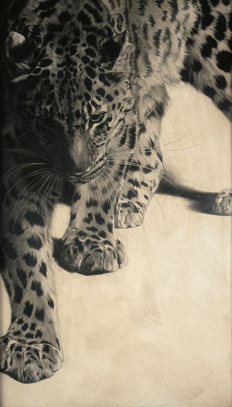 VICKY WHITE— 2008-13 Amur Leopard, Drømme Liv, Tapeta Pro Iphone, Snow Leopard, Leopards, Big Cats, Photo Profil, Pretty Wallpapers, Jaguar