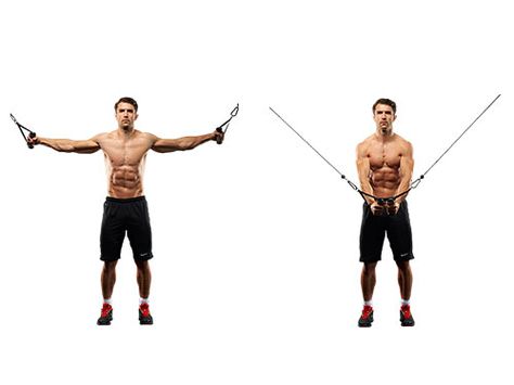 Cable fly Best Chest Workout Routine, Cable Flys, Cable Workouts, Chest Workout For Men, Chest Workout Routine, Standing Workout, Cable Workout, Best Chest Workout, Barbell Workout