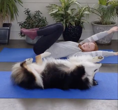 Adorable viral video shows dog doing yoga with her owner Dog Yoga Funny, Dog Doing Yoga With Owner, Yoga With Dog, Dog Yoga Poses, Yoga Dog Pose, Dog Gym, Dog Doing Yoga, Yoga Dog, Pet Videos