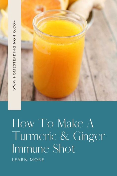 How to make a turmeric ginger shots reicpe. There are several turmeric shots benefits including to boost your immune system. This has several ingredients like turmeric ginger cinnamon honey and cayenne pepper. Take a ginger shot recipe immune system support daily or as needed. Learn how to make turmeric shots and an immune boosting shot recipe. Immune shots diy are easy to make at home. Immune Boosting Dinner Recipes, Ginger Shots Recipe, Immunity Shots, Ginger Shot Recipe, Ginger Shots, Turmeric And Ginger, Turmeric Shots, Immunity Boost, Inflammatory Recipes