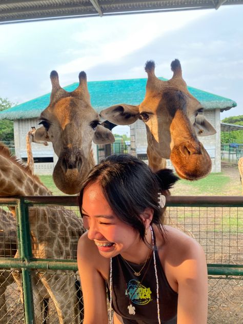 Petting Zoo Date Aesthetic, Zoo Pics Ideas, Aesthetic Zoo Pictures, The Zoo Aesthetic, Zoo Aesthetic Date, Zoo Trip Aesthetic, Zoo Instagram Pictures, Zoo Aesthetic Outfit, Zoo Outfit Ideas Summer