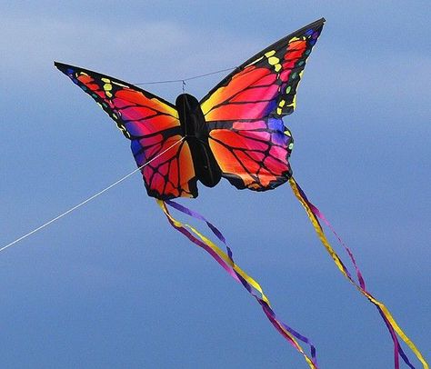 Butterfly Kite, Kite Party, Flying Kites, Kites For Kids, Fill Your Cup, Kite Designs, Birds Singing, Go Fly A Kite, Mary Rose