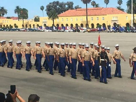 Marine Poster Graduation, Marine Bootcamp Graduation, Usmc Bootcamp Graduation Shirts, Marine Bootcamp, Marine Quotes Bootcamp, Marine Graduation, Marines Boot Camp, Boot Camp Graduation, Dream Life