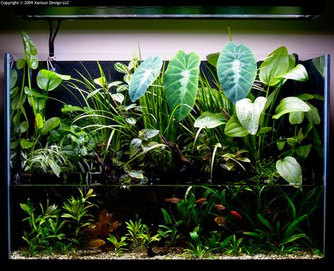 Fish Aquarium Decorations, Fish Tank Themes, Aquarium Garden, Fish Tank Terrarium, Aquascape Design, Fish Tank Design, Underwater Plants, Indoor Water Garden, Aquarium Terrarium