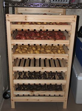 Orchard Rack, Potato Storage Bin, Vegetable Storage Rack, Storing Onions, Wood Storage Rack, Potato Storage, Survival Garden, Root Cellar, Vegetable Storage