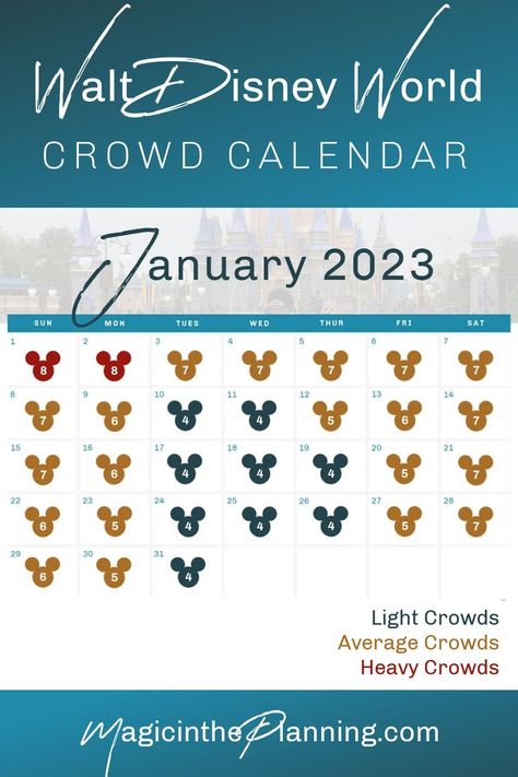 Wondering what to expect at Disney World in January 2023? Here is what we know so far... including our January 2023 Crowd Calendar! Disney World Outfits February, Disney In February, Disney World In February, Disney World In January, Couple Retreat, Disney Crowd Calendar, Disneyland Crowd Calendar, Universal Florida, Disney World Crowd Calendar