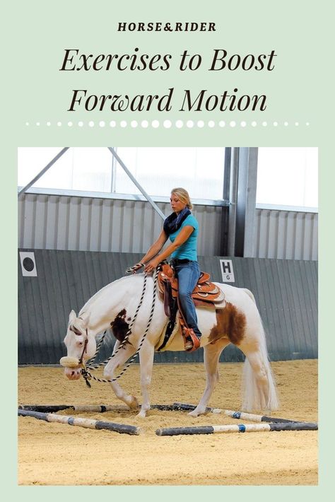 Arena Exercises For Horses, Horse Exercises Western, Survival Knowledge, Horse Riding Arena, Horse Education, Riding Exercises, Horse Training Exercises, Horse Ownership, Equine Care